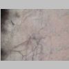Neuronas Golgi 27.jpg